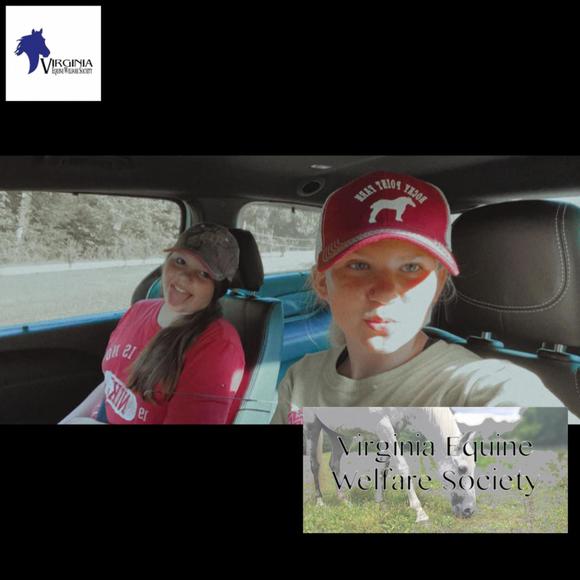 Meet your Posher, Alex - Picture 1 of 1